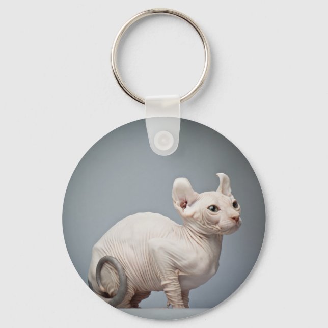 HAIRLESS CAT KEY RING (Front)