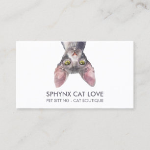 Hairless Cat Skin Care Specialist Business Card
