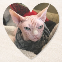 Hairless Cat - White Elephant Gift
