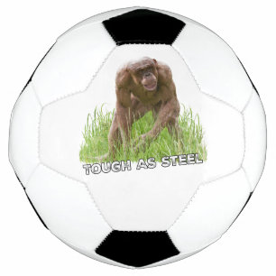 Hairless Chimp Tough As Steel Soccer Ball