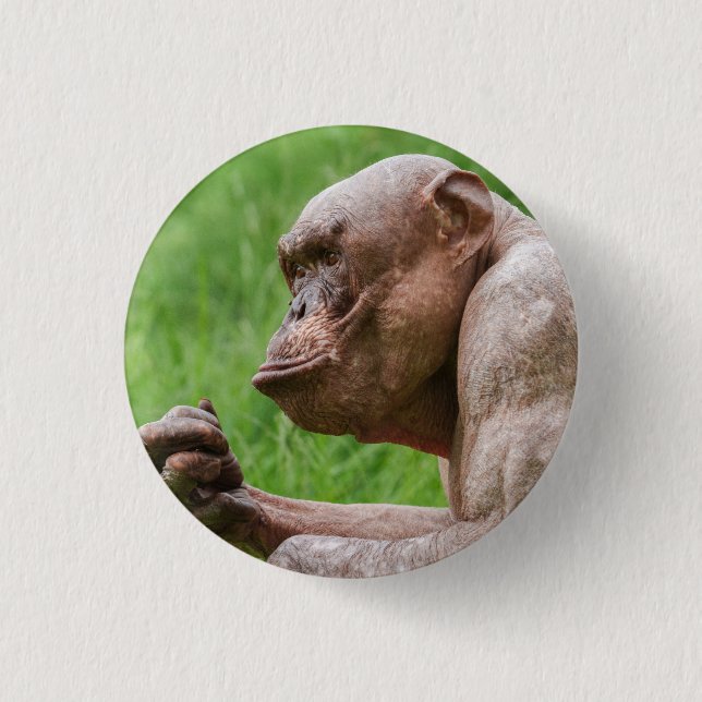 Hairless Chimpanzee Close-Up 3 Cm Round Badge (Front)
