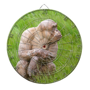 Hairless Chimpanzee Dartboard