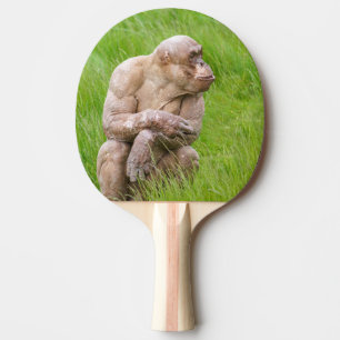 Hairless Chimpanzee Ping Pong Paddle