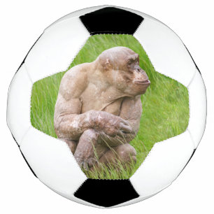 Hairless Chimpanzee Soccer Ball