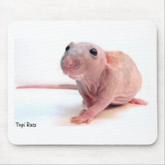 Hairless Rat Mouse Pad