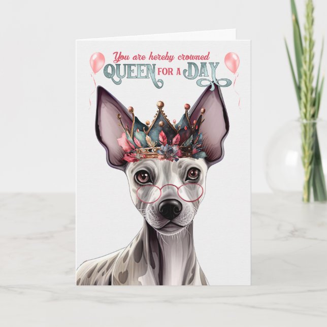 Hairless Terrier Queen for a Day Funny Birthday Card (Front)