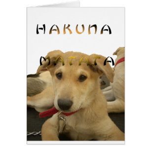 Hakuna Matata I know what you are thinking pinctur