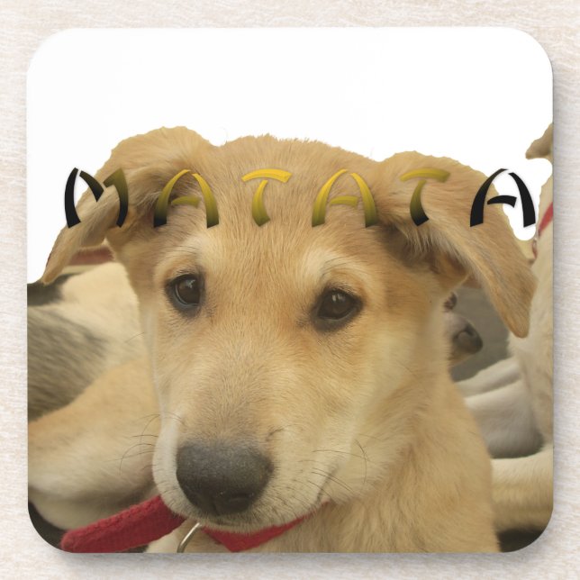"Hakuna Matata Pup" – Worry-Free Puppy Love Coaster (Front)