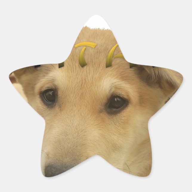 "Hakuna Matata Pup" – Worry-Free Puppy Love Star Sticker (Front)