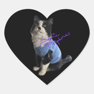 Hakuzi Heart Stickers