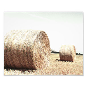 Hale Bales Country Farmhouse Style Photo Print