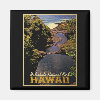 Haleakala National Park Hawaii Magnet
