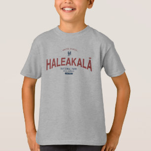 Haleakala National Park Hawaii Vacation T-Shirt