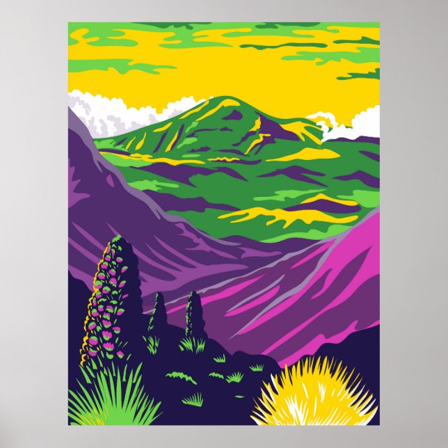 Haleakala National Park Poster (Front)