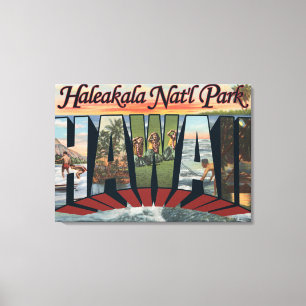 Haleakala Nat'l Park, Hawaii Canvas Print