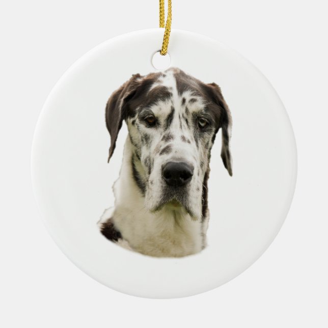 Halequin Great Dane portrait photo Ceramic Tree Decoration (Front)