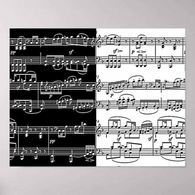 half black half white music notes poster (Front)