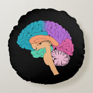 Half Brain Science Round Cushion