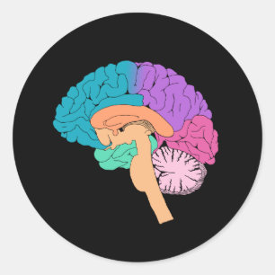 Half Brain Science Sticker