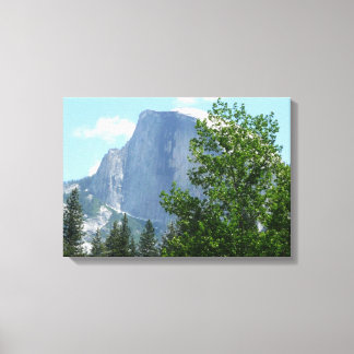 Half Dome in Summer from Yosemite National Park Canvas Print
