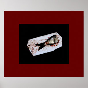 Half Fish Poster
