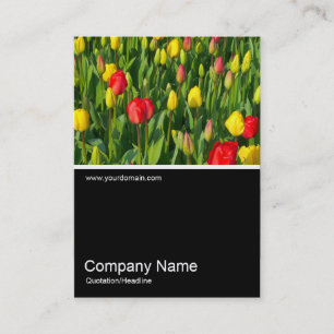 Half&Half Photo 0151 - Colourful Tulips II Business Card