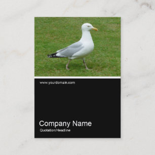 Half&Half Photo 0156 - Seagull walking in the Park Business Card