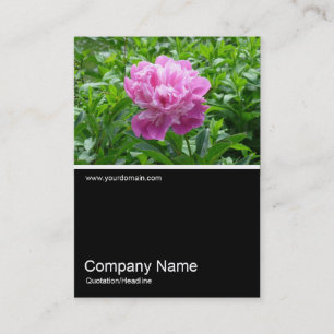 Half&Half Photo 0158 - Pink Peony Business Card