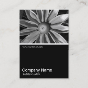Half&Half Photo 016 - Prairie Sun Rudbeckia Business Card