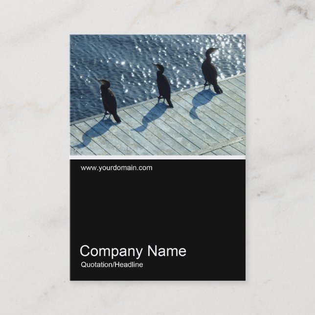 Half&Half Photo 0179 - Three Cormorants Business Card (Front)