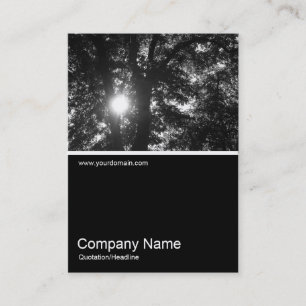 Half&Half Photo 0184 - Sun Through Trees B&W Business Card