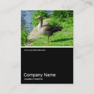 Half&Half Photo 0224 - Greylag Goose Business Card