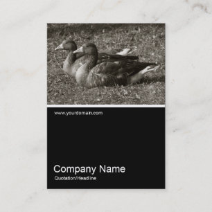 Half&Half Photo 0243 - Greylag Geese Business Card