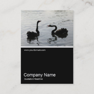 Half&Half Photo 0246 - Black Swans Greeting Business Card