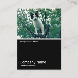 Half&Half Photo 0249 - Superfluity of Naughtiness Business Card