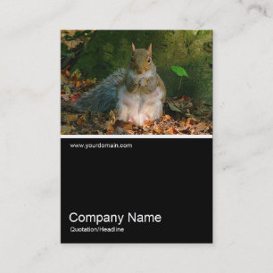 Half&Half Photo 0250 - Grey Squirrel Business Card