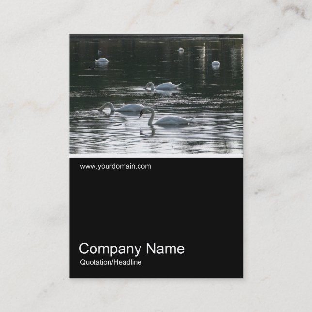 Half&Half Photo 0257 - Swans Business Card (Front)