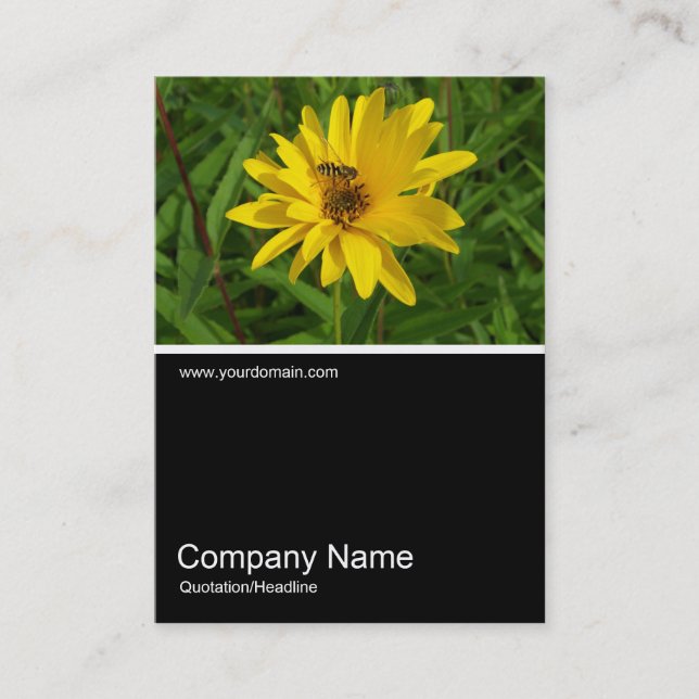 Half&Half Photo 0259 - Hover Fly on a Yellow Chrys Business Card (Front)