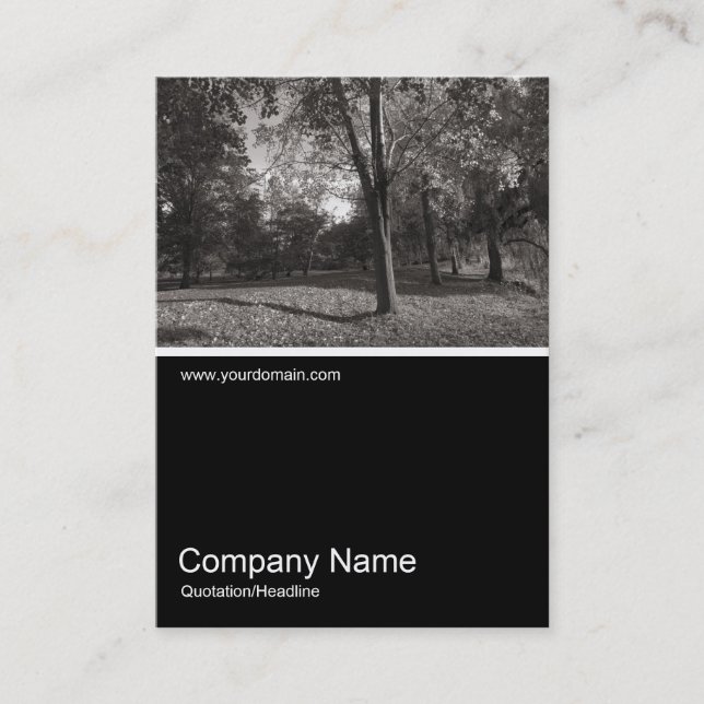 Half&Half Photo 0267 - Autumn in the Park Business Card (Front)
