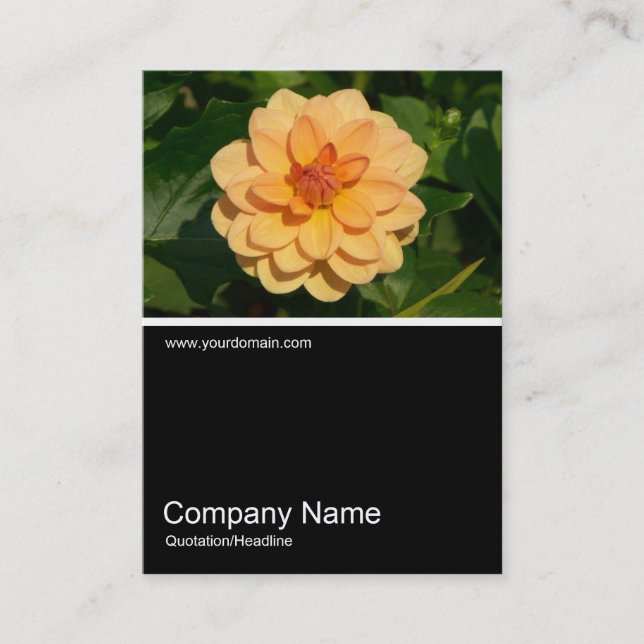 Half&Half Photo 0281 - Dahlia 'David Howard' Business Card (Front)