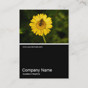 Half&Half Photo 0283 - Yellow Daisy and Bee Business Card