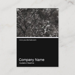 Half&Half Photo 0284 - Japanese Branches 01 Business Card