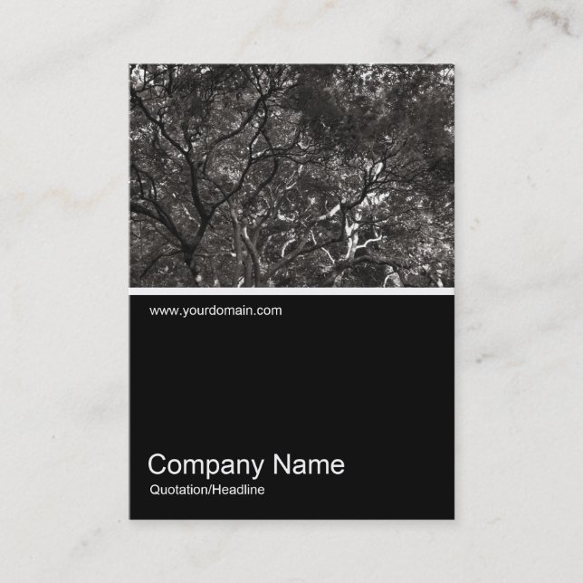 Half&Half Photo 0284 - Japanese Branches 01 Business Card (Front)
