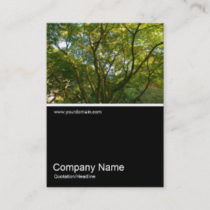 Half&Half Photo 0289 - Japanese Branches 06 Business Card