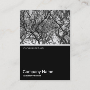 Half&Half Photo 0300 - Magnolia Tree Branches B&W Business Card
