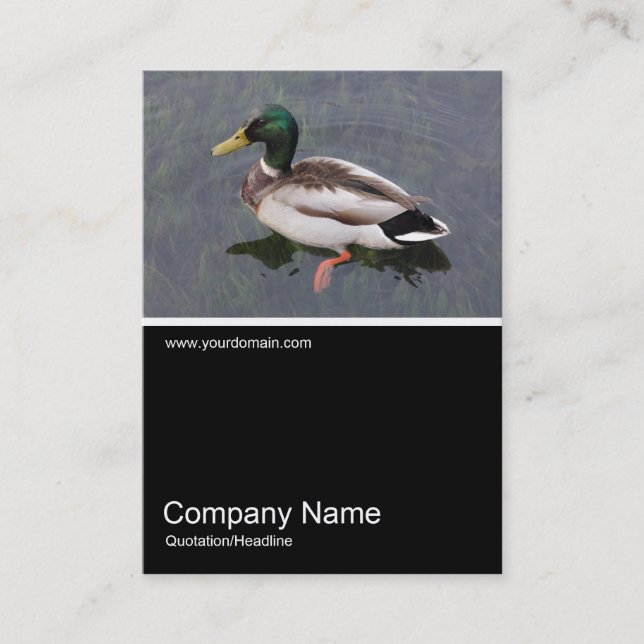 Half&Half Photo 0304 - Mallard Duck Business Card (Front)