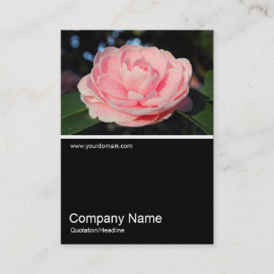 Half&Half Photo 0306 - Pink Camellia Business Card