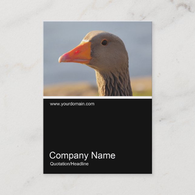 Half&Half Photo 0310 - Inquisitive Goose Business Card (Front)
