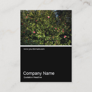 Half&Half Photo 0313 - Camellia Bush Business Card