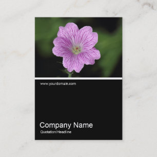 Half&Half Photo 0325 - Geranium Endressii Business Card